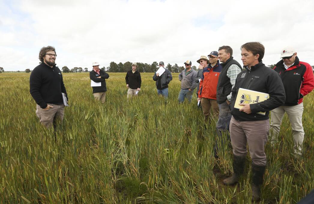 WITH THE GRAIN: Michael Straight from FAR Australia speaks with farmers during a paddock walk at Coreen this week. Picture: ELENOR TEDENBORG