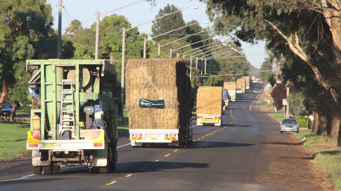 BIG RIGS: The hay carting convoy makes its way through Griffith.