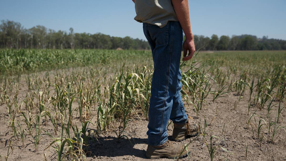 Release held back water reserves and save winter crops, urge irrigators