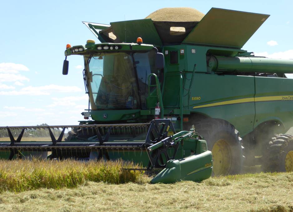 BIG YIELD: Riverina rice farmers are on track to harvest their biggest crop in three years, according to Leeton-based SunRice.