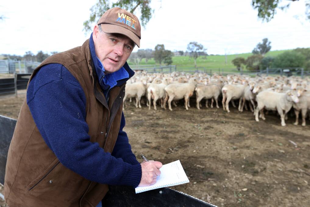 Chris Mirams, Sheep Producers Australia
