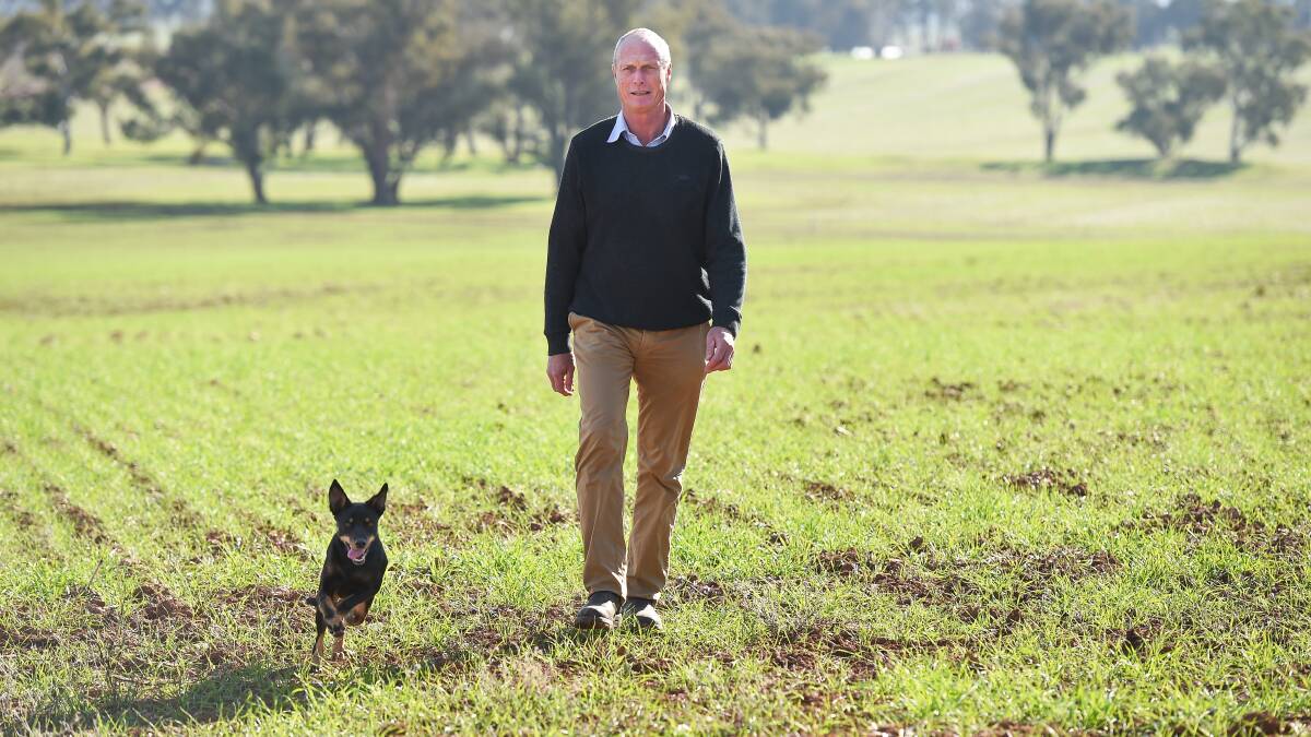 THE BIG ISSUE: Derek Schoen, pictured on his Corowa farm "Killeneen" with dog Nikki, says the dairy crisis was among the biggest issues during his time as NSW Farmers president. Picture: MARK JESSER