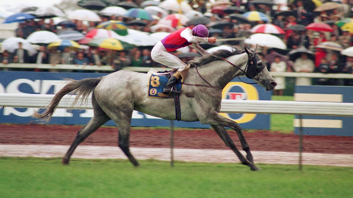 MEMORABLE DAY: Ridden by jockey Greg Hall and trained by Lee Freedman, Subzero wins the 1992 Melbourne Cup in the wet at Flemington.