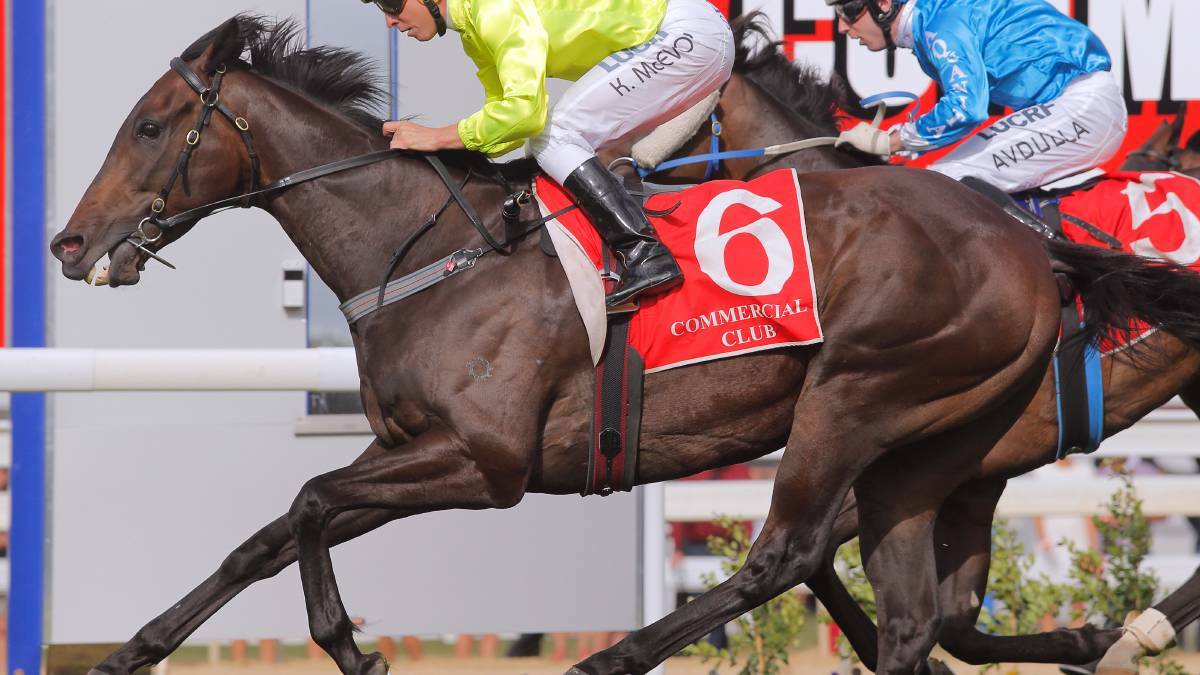 ALBURY GOLD CUP 2016: Race times