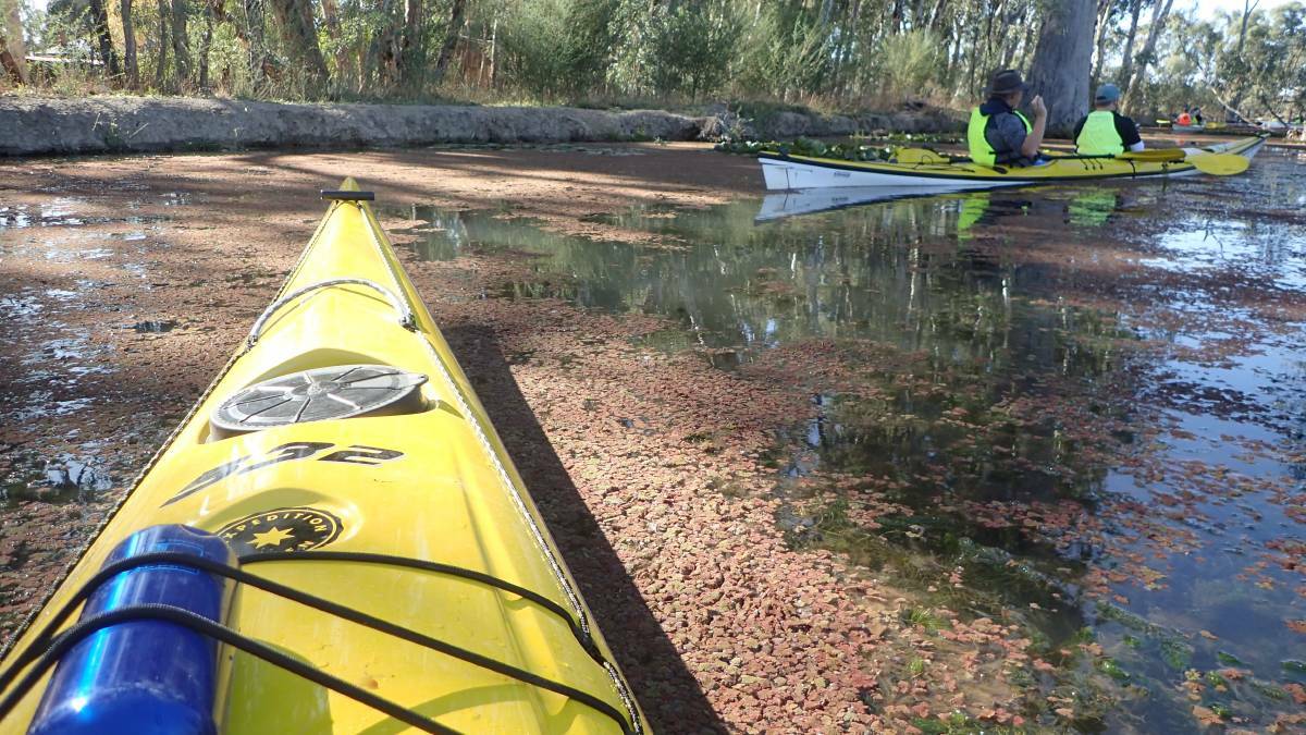Looking for a bucket list item? Try paddling the Murray