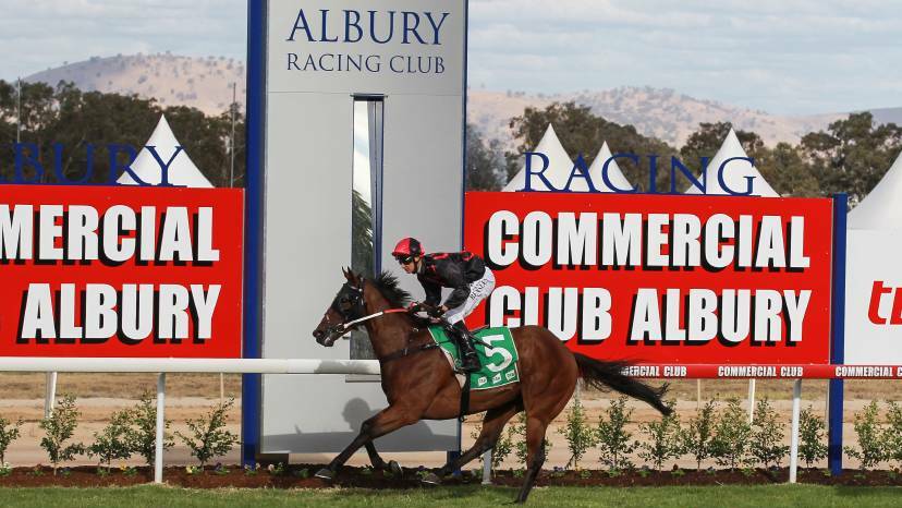 The Monstar is chasing back-to-back City Handicap wins on the first day of the Albury Gold Cup carnival on Thursday.