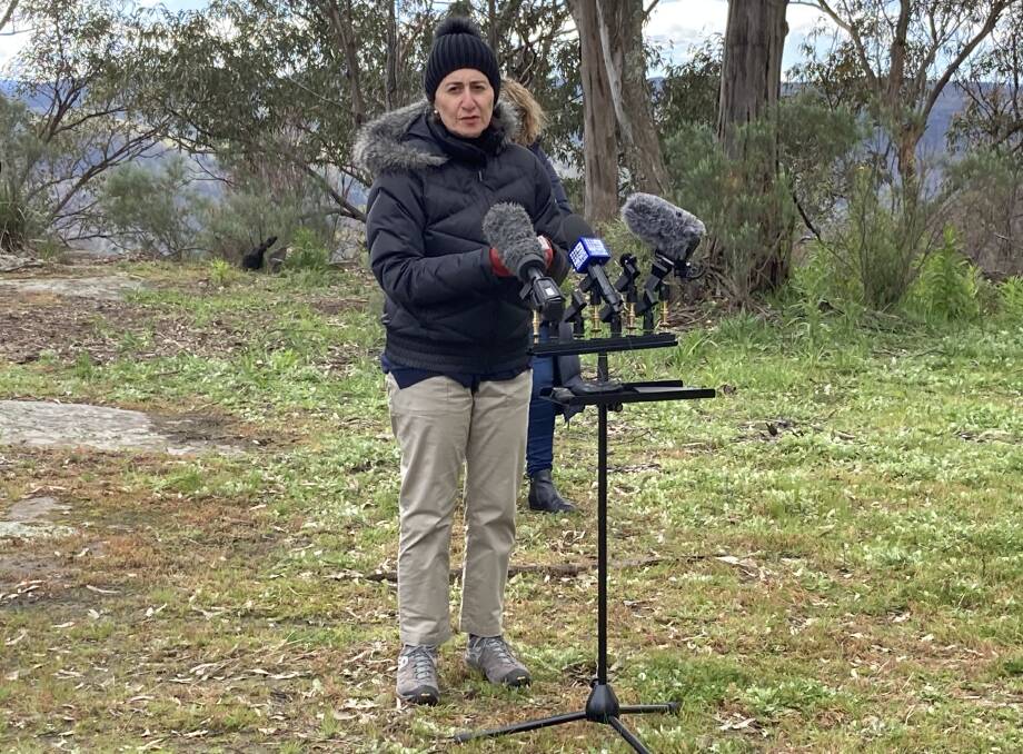 Premier Gladys Berejiklian said the creation of Guula Ngurra National Park would be an important step to "securing the future of koalas in the wild". Photo: Emily Bennett 