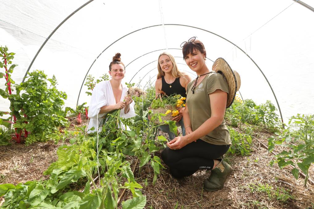 IN THE GARDEN: Ally Stuart, Lilly Lloyd and Katie Hall tend to the Almar Organics farm in Splitters Creek on the hunt for fresh produce. Picture: JAMES WILTSHIRE