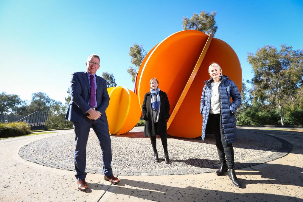 UNITED FRONT: Albury mayor Kevin Mack, Indigo Shire mayor Jenny O'Connor and Wodonga mayor Anna Speedie are standing together in the midst of strict border closure restrictions.