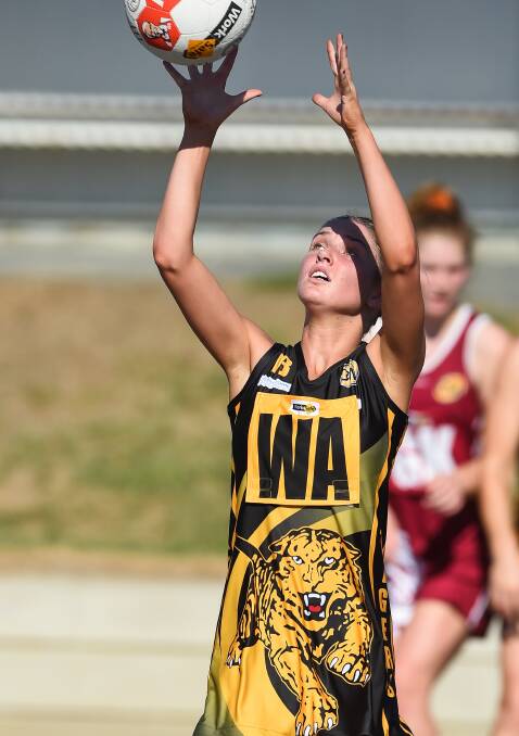 EYE ON THE BALL: Albury's Sharna Thomas concentrates during the Tigers 65-24 win against the Bulldogs in Wodonga on Easter Saturday. Pictures: MARK JESSER