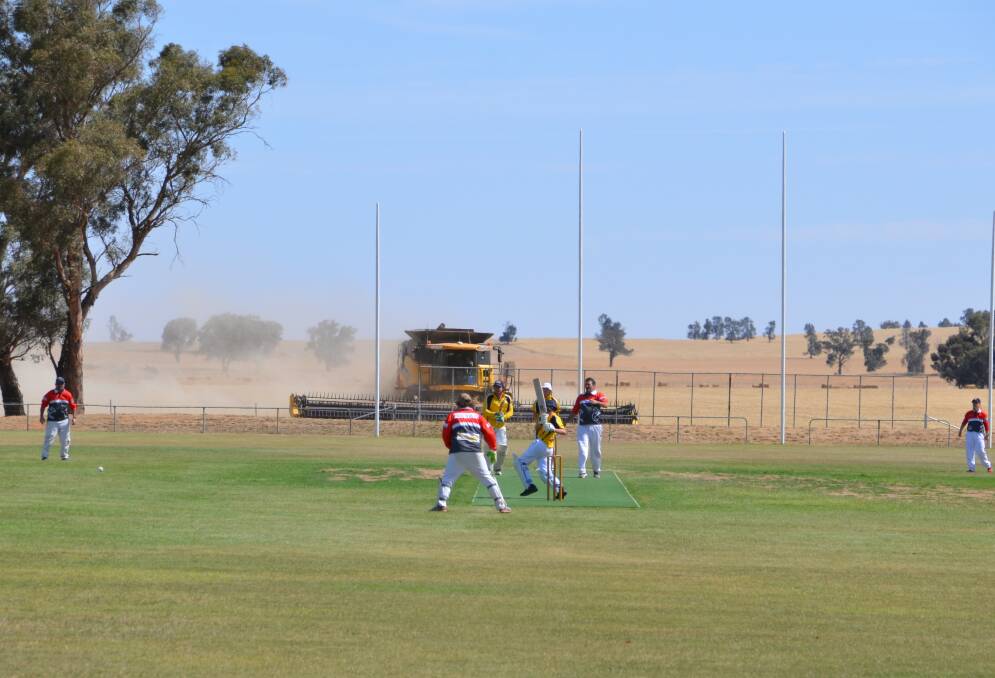 HEADS UP: Jason Webster harvests his barley in a paddock south of Osborne football ground during Osborne's clash with Brock-Burrum on Saturday. Picture: HEIDI GOODEN.