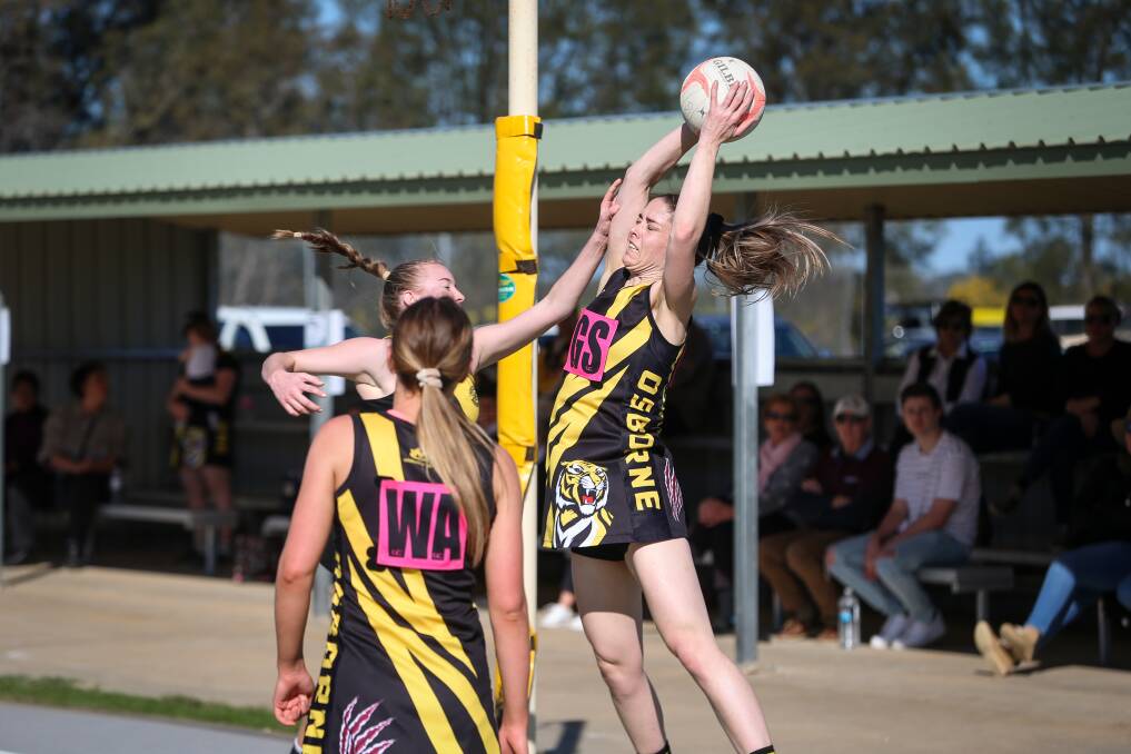 STANDING TALL: Osborne's Caren Hugo looks to convert a goal for her side during the Ostriches last game against the Wagga Tigers last weekend. Picture: JAMES WILTSHIRE