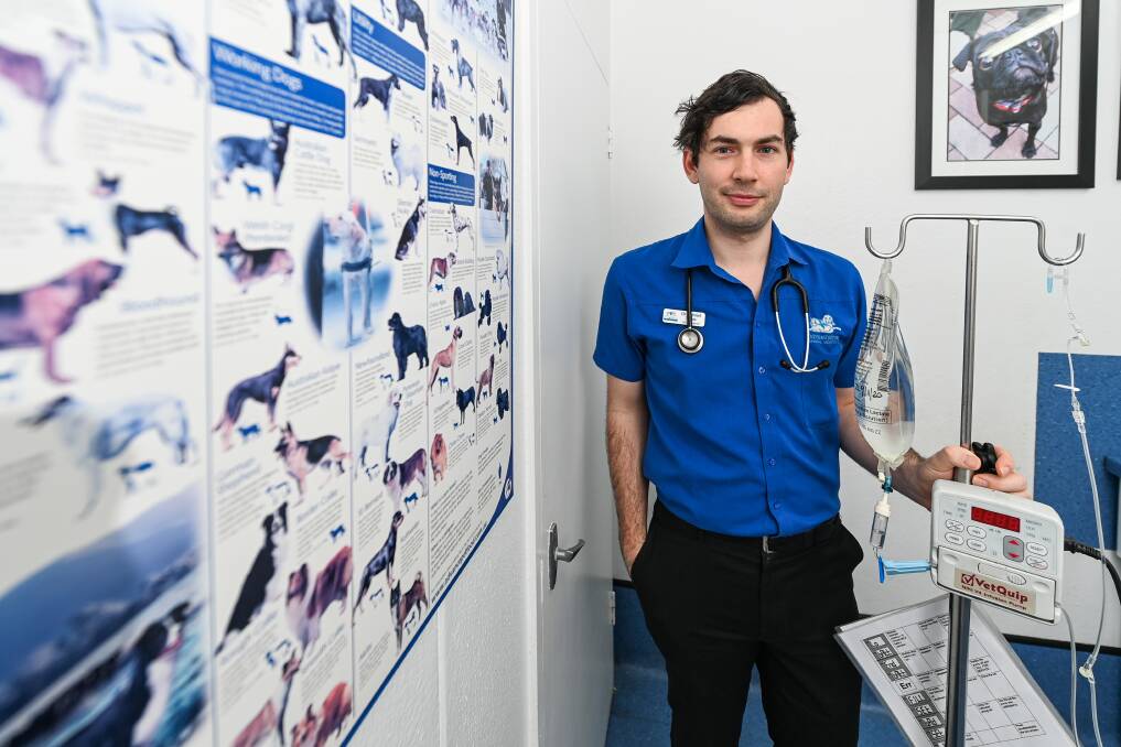 BEWARE OF SNAKES: Dr Gabreil Xeros of Albury's Hume Animal Hospital offers his advice on snake bites for pet owners. Picture: MARK JESSER