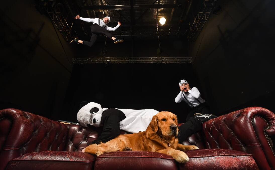 LEAP: Harry McKoy and Cooper Ayton fly high while Will Meager and dog Roy relax in preparation for the online show. Picture: MARK JESSER