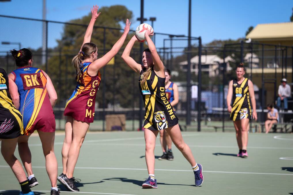 OUTSTANDING: Osborne midcourt player Abbey O'Connell looks for her teammates during the weekend's elimination finals clash at Robertson Oval.