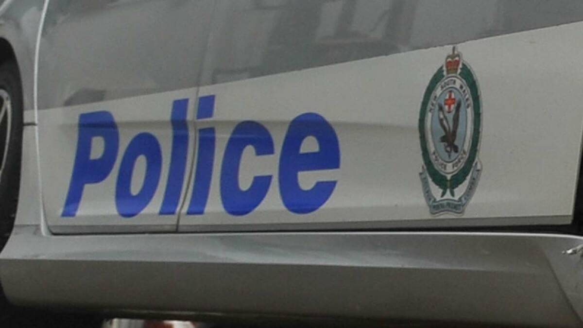 Lambs stolen from Holbrook property