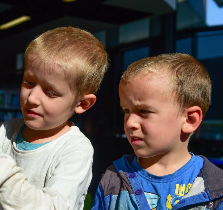 LEARNING: Alec Campbell, 7, with his younger brother Marcus, 4, are excited to learn about the world's flora and fauna at Albury LibraryMusuem on Thursday.