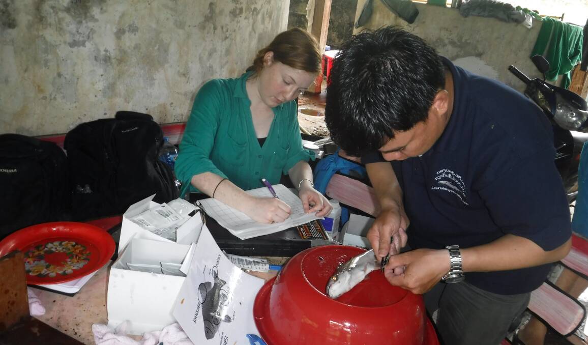 FIELDWORK: CSU science graduate Bettina Grieve travelled to Laos to tag fish in an effort to understand migratory patterns and mitigate the impact of hydropower.