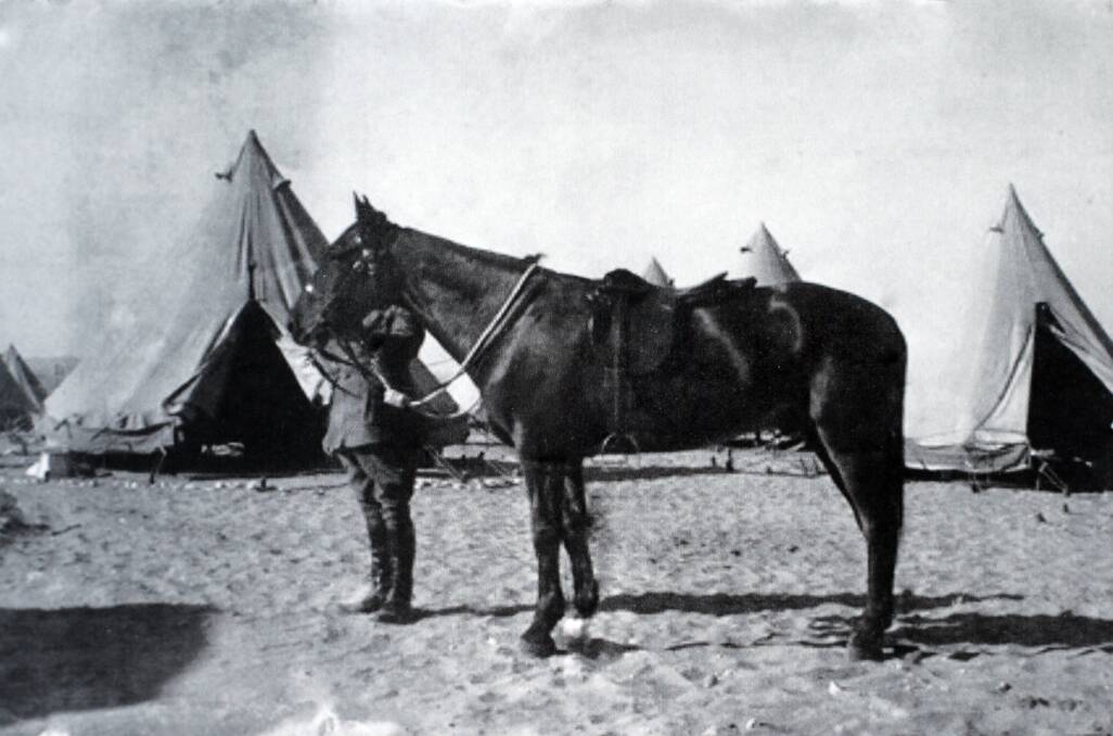 LEST WE FORGET: Towong council has embraced a plan to erect a memorial for Sandy, the only horse to return from World War I, owned by Francis 'Bonner' O'Donnell.