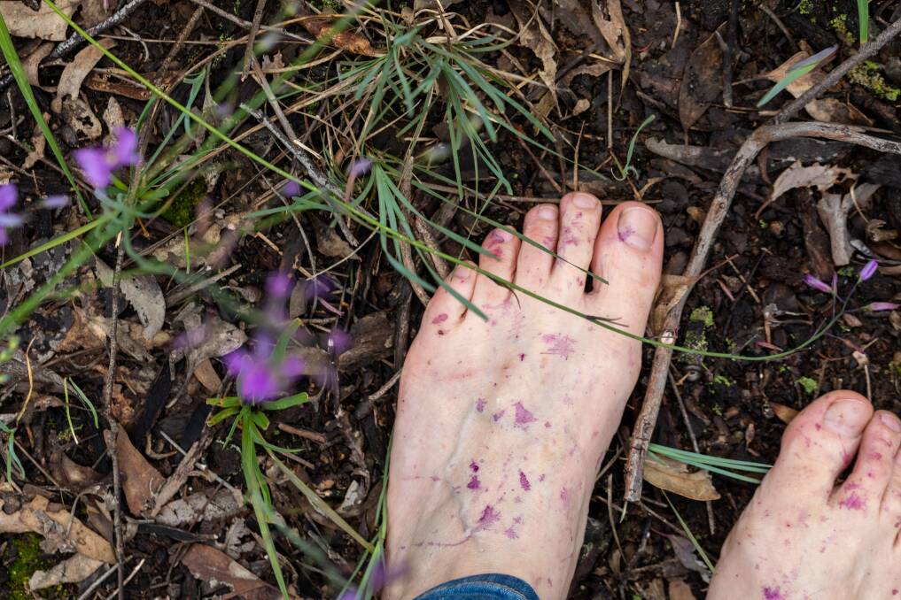 SOLACE IN THE SOIL: Nat Ord says she often walks barefoot in the forest - it grounds her. Picture: NAT ORD