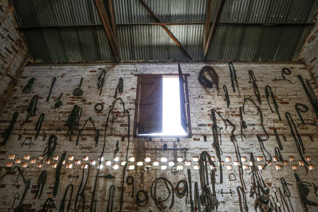 INCREDIBLE SPACE: Brendan has busied himself with tidying the old stable building and finding horse gear to decorate the light-filled space (above).