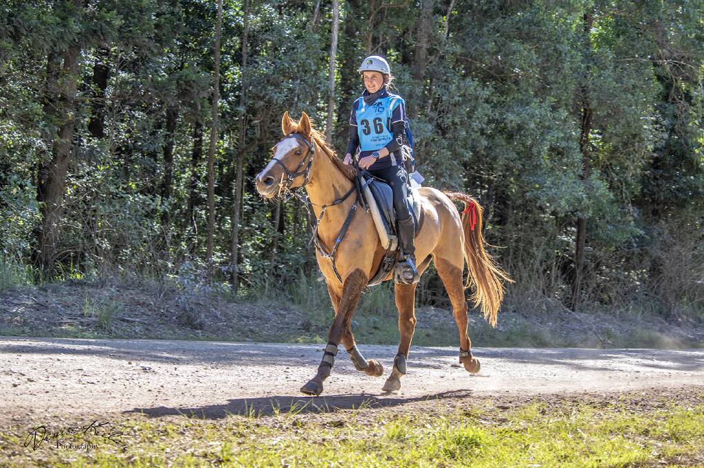 DIAMOND RUN: Table Top rider Emma Dimech and Oso Diamond Dazzler took out the lightweight division of the famous Tom Quilty endurance ride at the weekend. Picture: DENIS KEELAN
