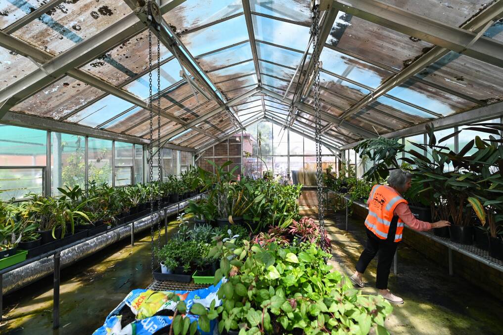 PLANT SALE: A monster plant sale will be held at the botanic gardens nursery on Sunday.