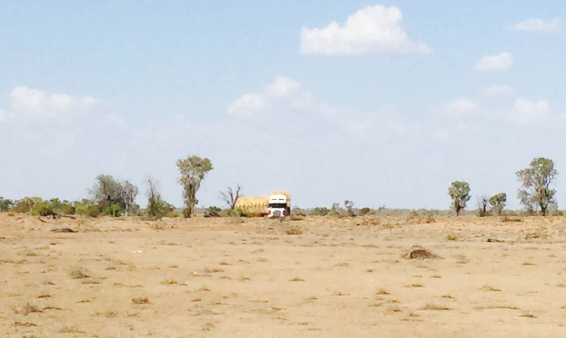 BARE BONES: The countryside is barren on the road from Bourke to Cunnamulla.