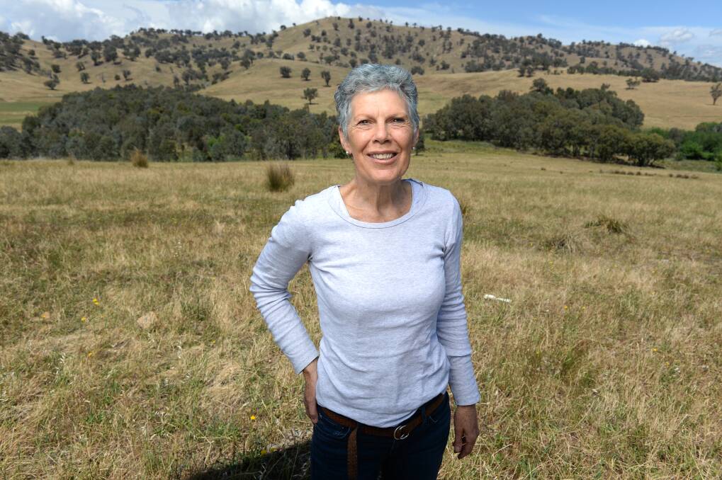 VISION SPENDID: Bowna's Gillian Sanbrook will host an Earth Canvas workshop at her lush Bibbaringa property to explore different perspectives of the rural landscape . Picture: MARK JESSER
