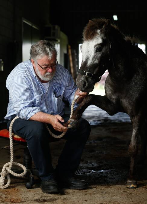 BEST FOOT FORWARD: Veterinarian Bob Fielding says there has been an increase in hoof abscesses thanks to warm, wet conditions. Picture. MARK JESSER