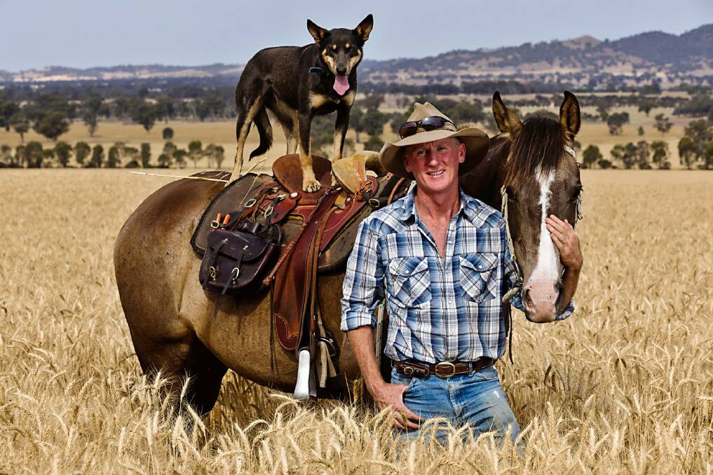 MAN'S BEST FRIENDS: Walla farmer and well-known Border muso Danny Phegan (above) with his trusty dog Frankie and horse Sammy. Picture: NAT ORD