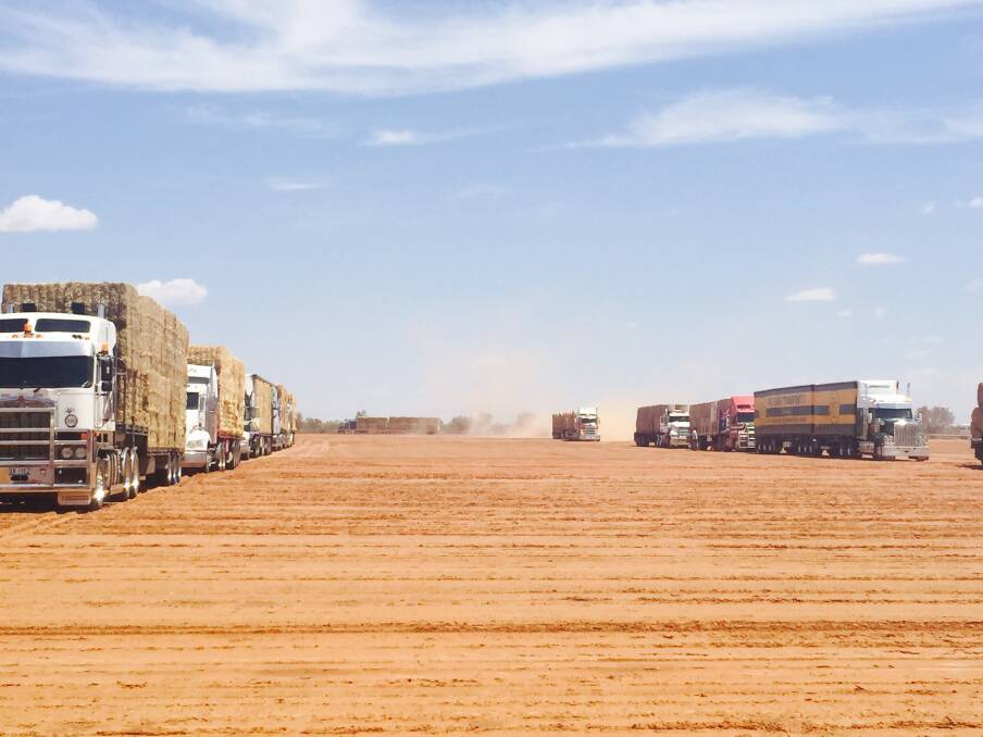 LINE 'EM UP: The Burrumbuttock Hay Runners convoy at Quilpie racecourse for Australia Day 2019.