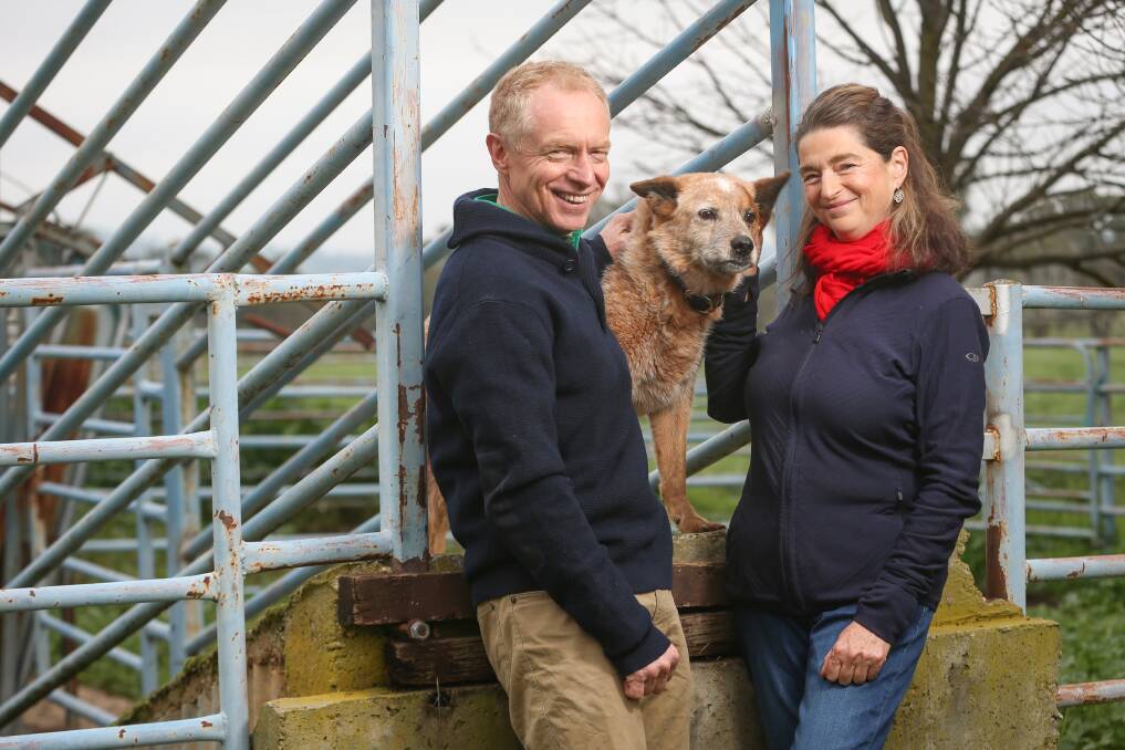 TO MARKET WE GO: Jindera husband and wife team Gordon Shaw and Leanne Wheaton (pictured with their dog Gatsby) are enjoying success selling their Grass Roots Beef at farmers' markets . Picture: JAMES WILTSHIRE