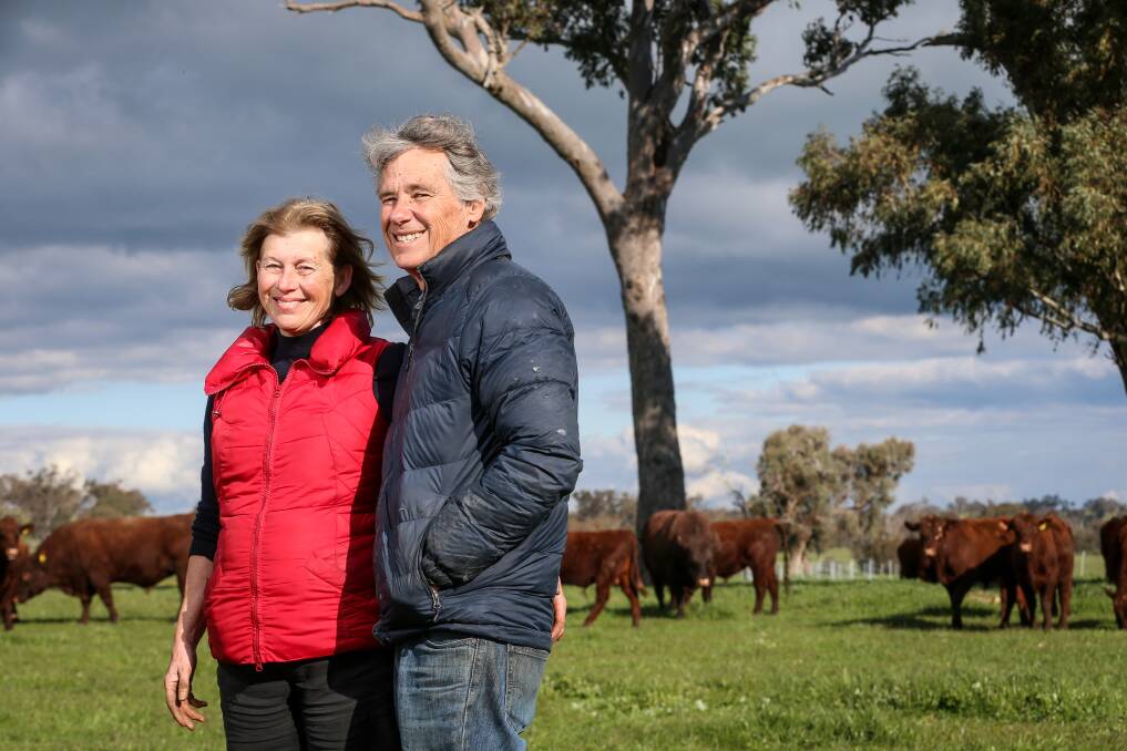 BIGGER PICTURE: Gerogery beef producers Ian and Jill Coghlan are part of the Earth Canvas project linking regenerative farmers with artists. Picture: JAMES WILTSHIRE