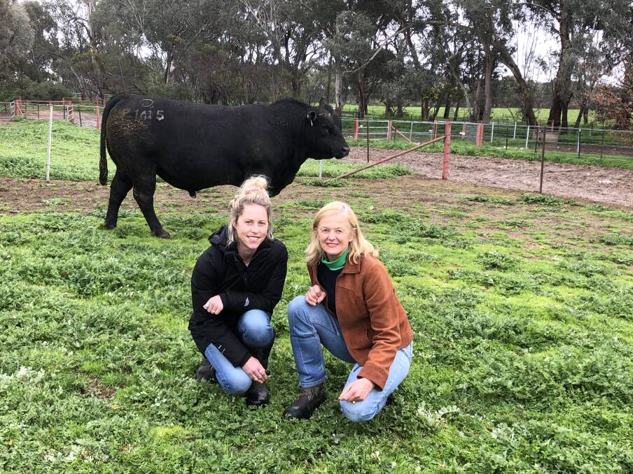SUPPORT: Virginia Tapscott with Lucinda Corrigan, of Rennylea Angus, with the charity bull that was auctioned to support Our Watch, a national foundation working to prevent violence against women and children. Picture supplied: RENNYLEA ANGUS