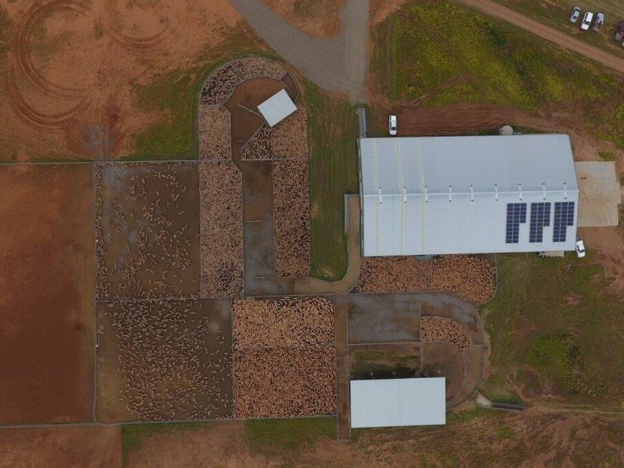 GET A GLIMPSE: A stunning aerial view of the shearing shed at the 50,000-hectare Wyvern Station at Carrathool, in the Riverina, where young people are being given the chance to hone their sheep handling and breeding skills.