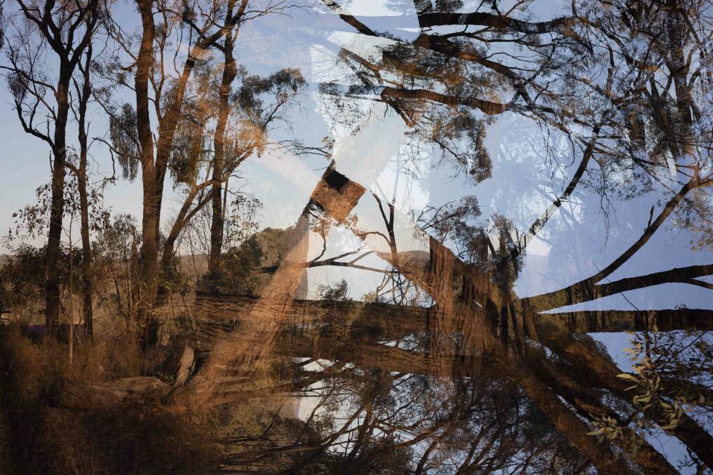 REFUGE FOR HEAD AND HEART: This image is part of Ord's 'Clarity' project, involving multiple exposures and words from love letters overlayed at a very low opacity. Picture: NAT ORD
