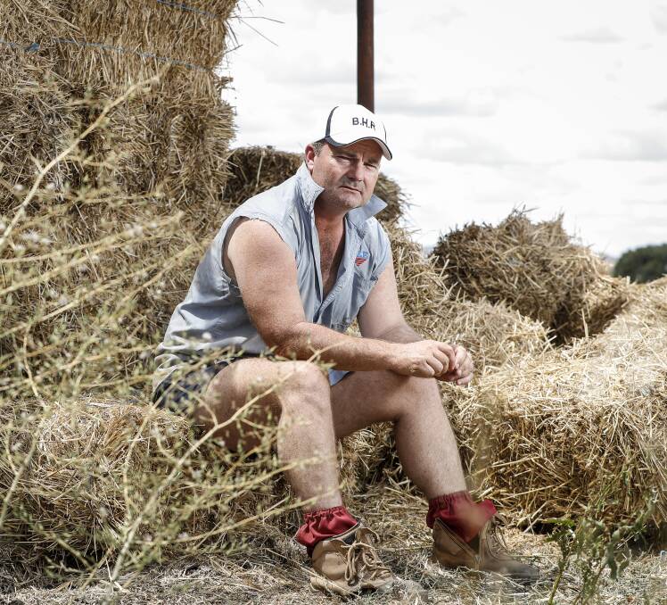 FOOD FOR THOUGHT: Burrumbuttock Hay Runners founder Brendan Farrell is seriously shaking his head at claims lettuces have a heartbeat.
