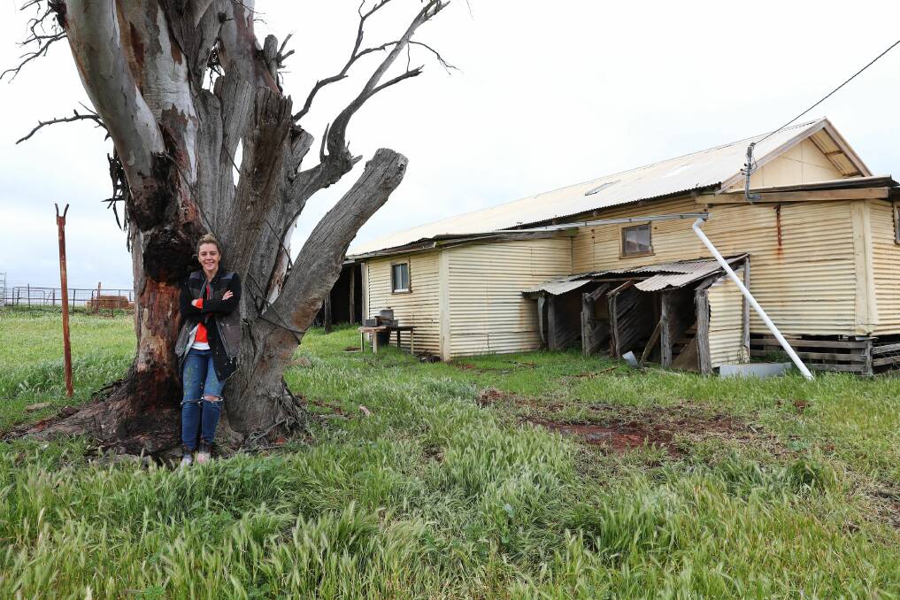 RUSTIC: Riverina artist Julia Roche in front of her expansive but draughty studio - a repurposed 1910 shearing shed on the farm near Mangoplah. Picture: EMMA HILLER