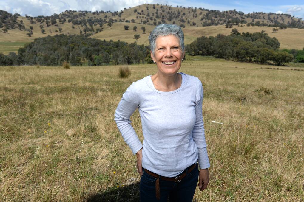 THE AIR UP THERE: Gillian Sanbrook is proud of her regenerative efforts but there is always more that can be done to make the ecosystem more resilient.