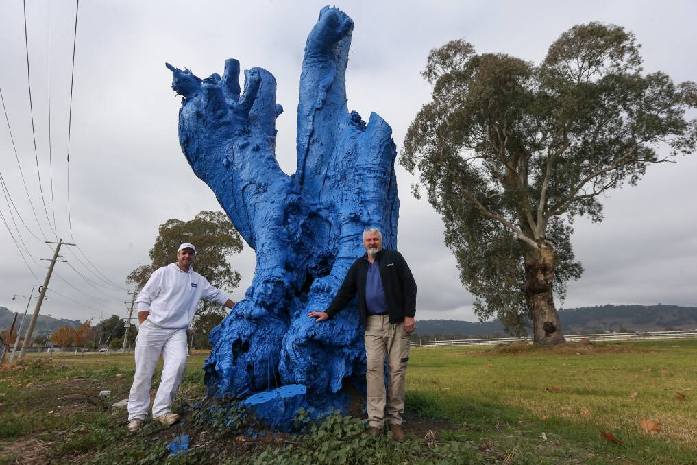 IT'S OK TO FEEL BLUE: Painting contractor Rob Voggenreiter with Wattyl Paints Wodonga's Greg McDonald, who donated the paint for the project ... in 30 years as a painter Rob says it's the first tree he's painted but he was happy to give it a spruce-up. Picture: TARA TREWHELLA