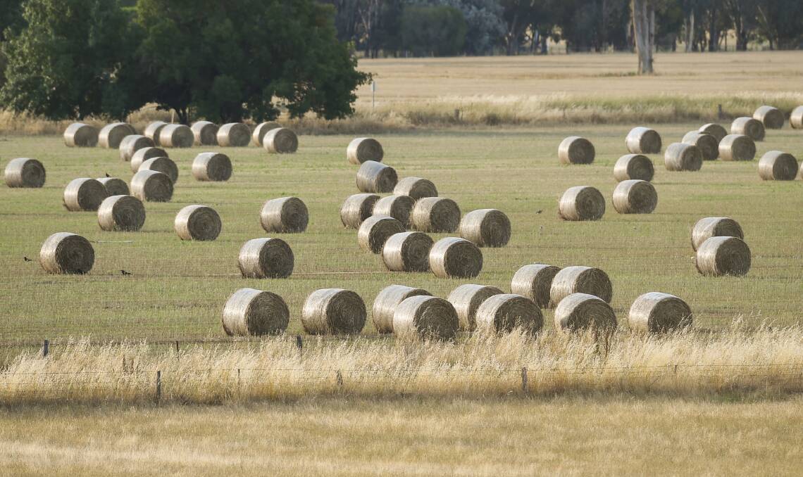 RARE FIND: Hay producers warn there is a long stretch ahead before the next hay-making season with reserves at critically low levels.