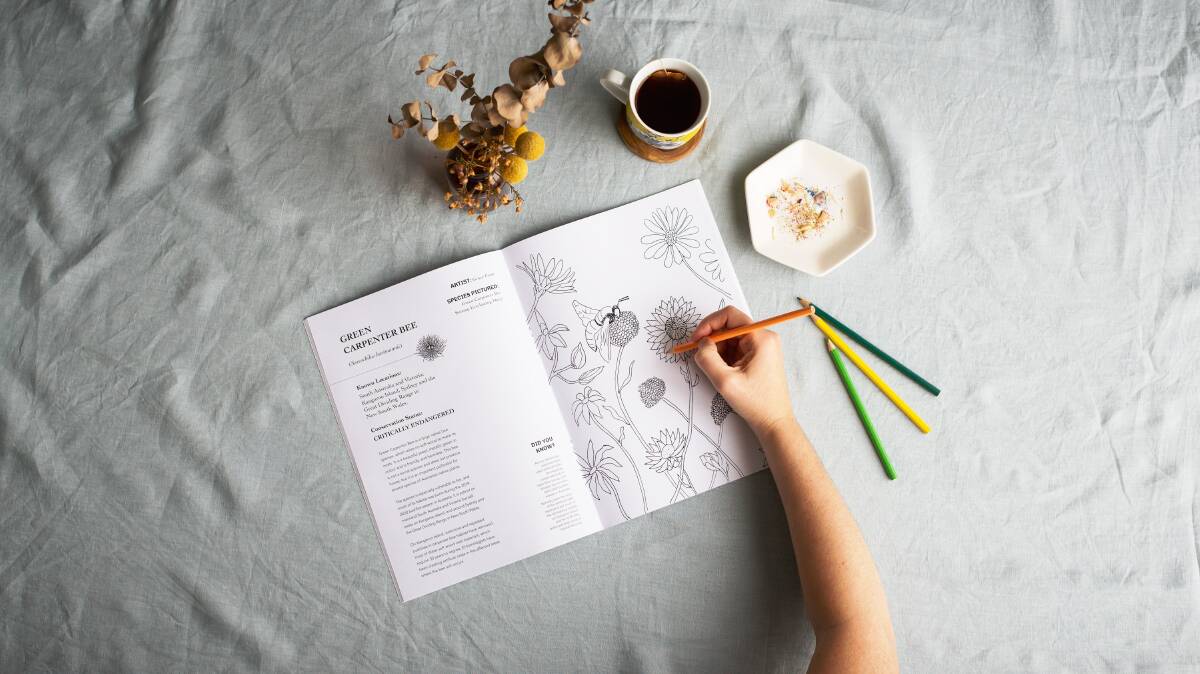 EDUCATIONAL: The colouring-in book features information about the species in the artwork.