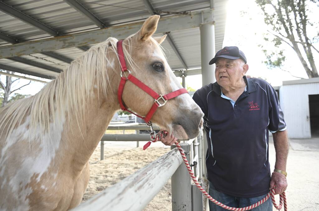 Albury's RDA president Carl Iverson with Sandy ... one of only a handful of horses available to support riders with disabilities. Picture Mark Jesser