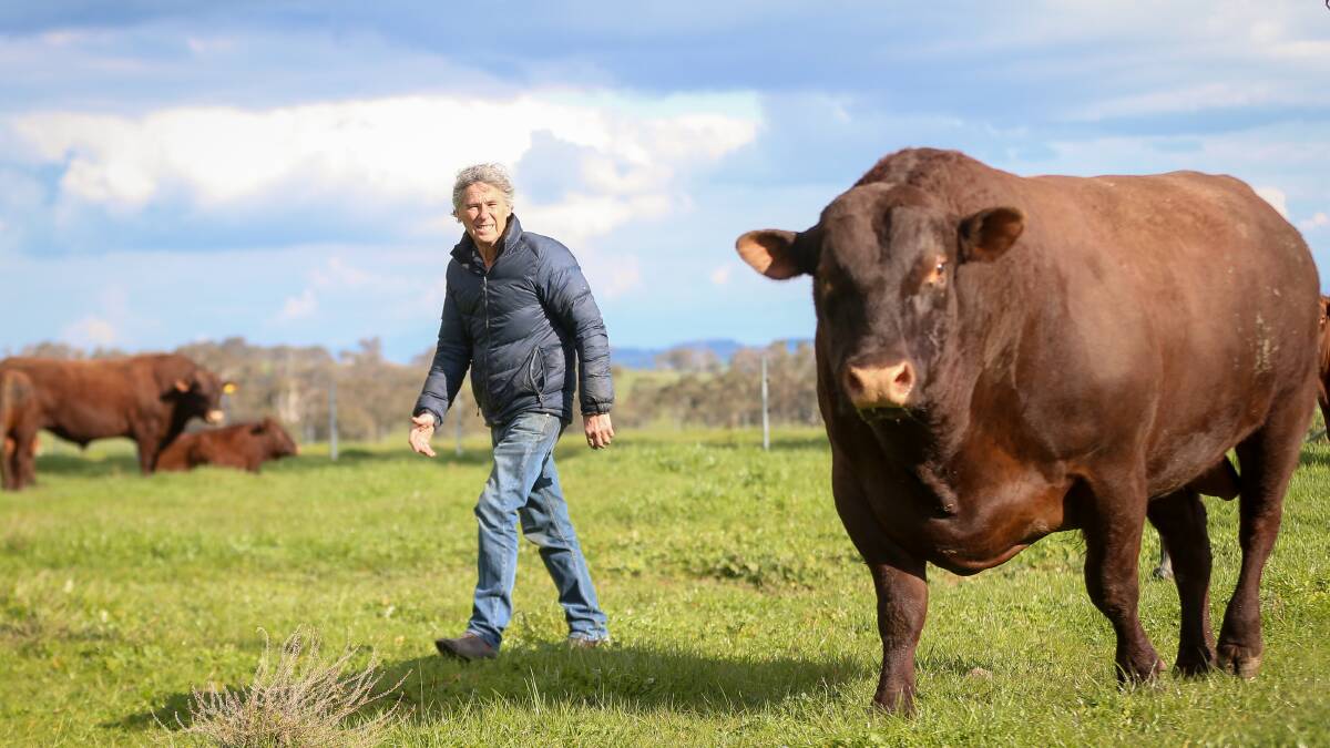 Gerogery beef producers Ian and Jill Coghlan embarked on their regenerative farming journey three years ago. Pictures: JAMES WILTSHIRE