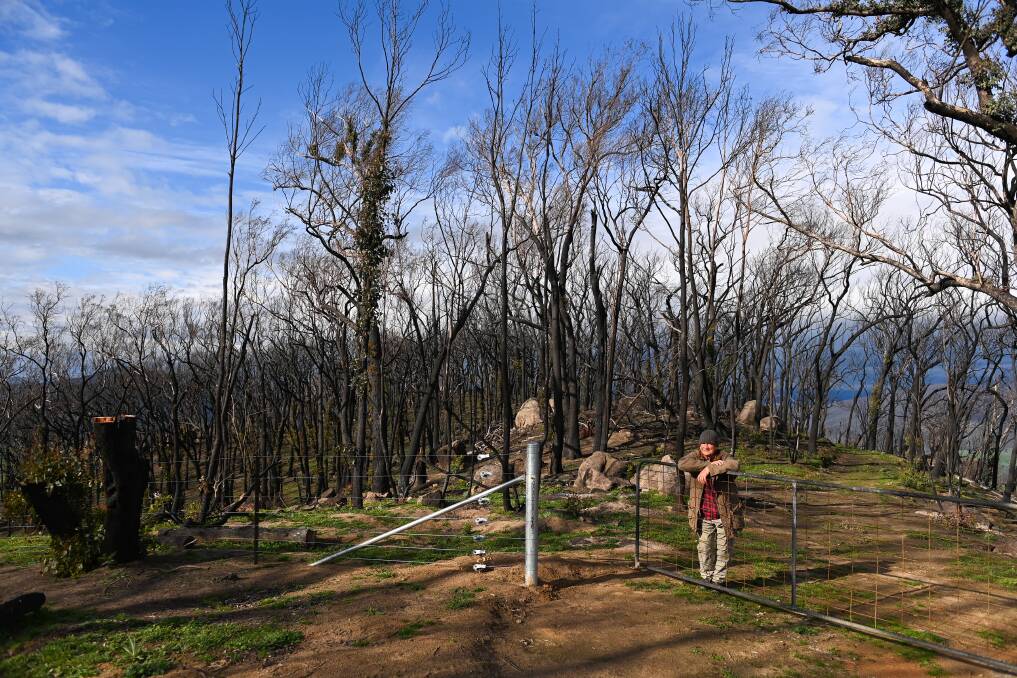 STILL STANDING: Allan Evans with some of the burnt trees at his Colac Colac property; they stand as a constant reminder of the ferocious fires that swept through the district eight months ago. Pictures: MARK JESSER