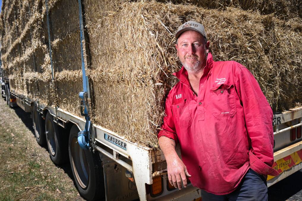 STILL GOING: Walbundrie's Brett Lieschke is still plodding away with harvest after a protracted season due to wet weather; a breakdown on the header on Thursday saw him carting hay instead. Picture: MARK JESSER