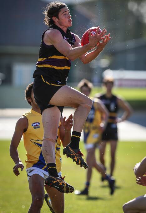 FLYING HIGH: Lachie Tiziani drags down another mark for the Murray Bushrangers at Norm Minns Oval on Saturday. Picture: JAMES WILTSHIRE