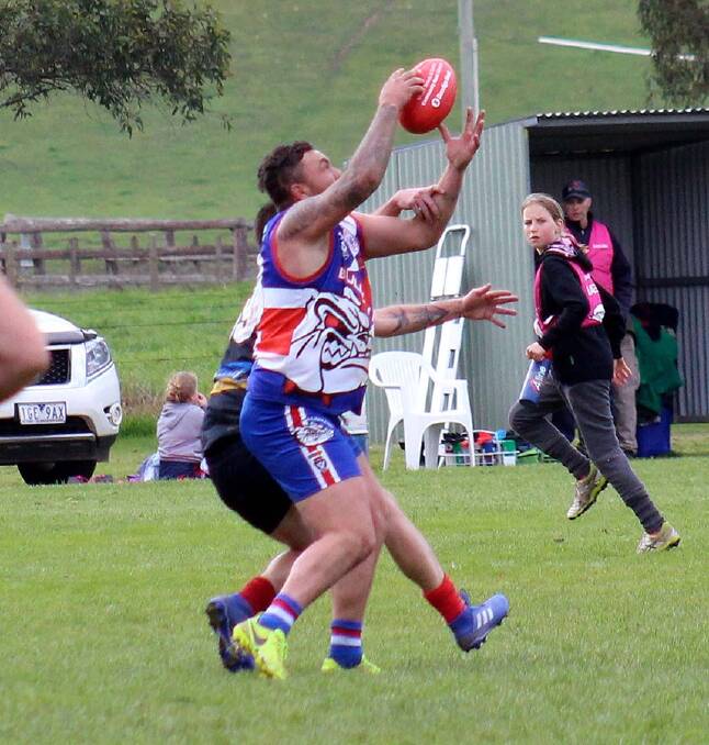 Bullioh's Ash Murray took his season tally to 129 after kicking 17 in the Bulldogs' thumping win over Corryong on Saturday. Picture: DEB HARRAP