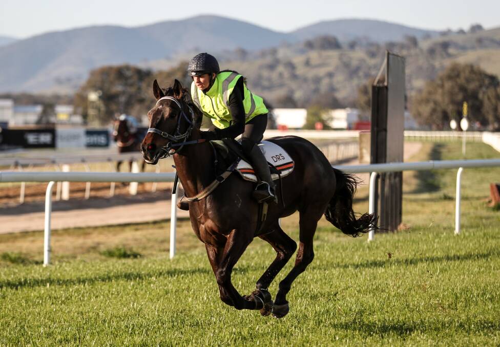 Border jockey Abby Stubbs tests out the new track ahead of Saturday's first meeting at Albury.